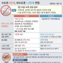 911방역 - 서귀포시 | 911방역