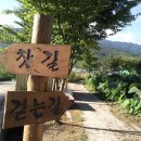 노고지리민박 이미지