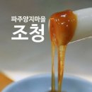 석화양지말 네이버블로그