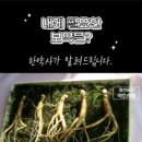 명원약국 이미지