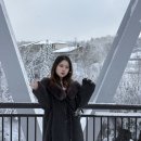 #38 [비에이 여행]_1월 비에이 겨울 투어 후기, 눈 내린 흰수염 폭포 풍경