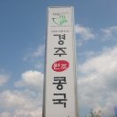 [경주]대릉원앞 진한콩국의 &#34;경주 콩국&#34; 이미지