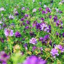 성산1리마을회관 이미지