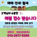 미소자이공인중개사사무소 이미지