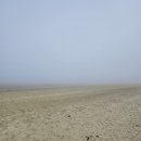 몽산포다솔식당 | 충남 태안 여행경로 [청포대해수욕장 - 팜비치펜션 - 태안로컬푸드직매장 - 바다담은카페]