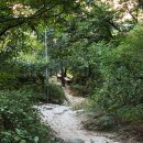 천병약수터 이미지