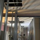 트렌디성형외과의원 이미지