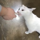 제주 춘자네 펜션 이미지