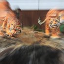 동녘마루마을 이미지