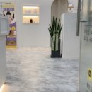 블랑드바비 이미지