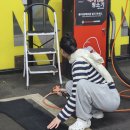 재성세차장 이미지