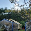 좋은세상리조트글램핑펜션 이미지