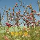 남화농장 이미지