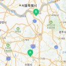 드림독 강아지분양 안심분양센터 잠실점 이미지