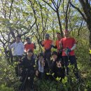 구봉팔문 이미지