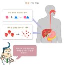 신나는자매몰