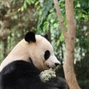 (주)마켓월드 이미지