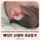 신생아 접힌귀 교정에는 메딧트 신생아 귀교정기
