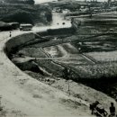 유정천리 이미지