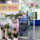 크린토피아숲속 이미지