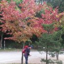 구천계곡야영장 Daum카페