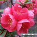 이천우의원 이미지