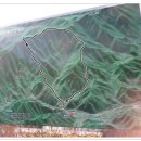 광덕산3로 이미지