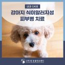 고척원동물의료센터 이미지