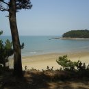 산들바다펜션 이미지