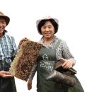 민두벌꿀 이미지