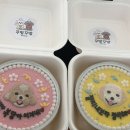 꾸밤꾸밤 이미지