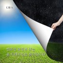 다올 에스테틱 이미지