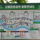 [서울시 여행] 중랑천 장미꽃 터널..........39 이미지