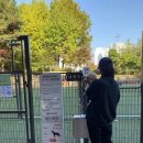 반려동물놀이터 이미지