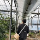 해저3만리 이미지