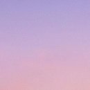 약동안양 이미지