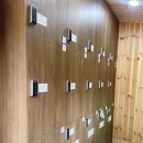 부자목장 | 대관령 양떼목장 방문 후기 강원도 평창 아이와 가볼 만한 곳 (2025.10.25일 기준)