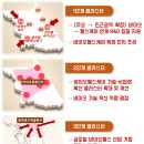 마스터정보기술 이미지