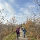 2026년 10월 13일 특별 Hiking - Elora Cataract Trailway 이미지