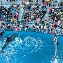 차와 함께 힐링 이미지