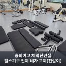 송청지역건강증진센터 체력단련실 | 서울숭의여고 체력단련실, 헬스장 레자 교체 출장 천갈이 후기