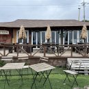 거북애견 이미지