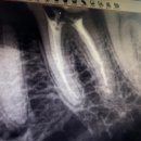 남문튼튼치과의원 이미지