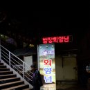 해맑은 수산 Daum카페