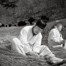 꼬기나랑 이미지