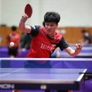 탁구(중급) 이미지