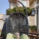 뷰나인아임파인 | 강화도애견펜션/바다전망/뷰나인펜션/아임파인카페/솔직한후기