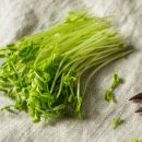 초록메디칼 이미지