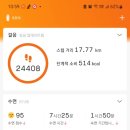 삼향천5 이미지