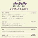 고양이의 산책:묘책 이미지